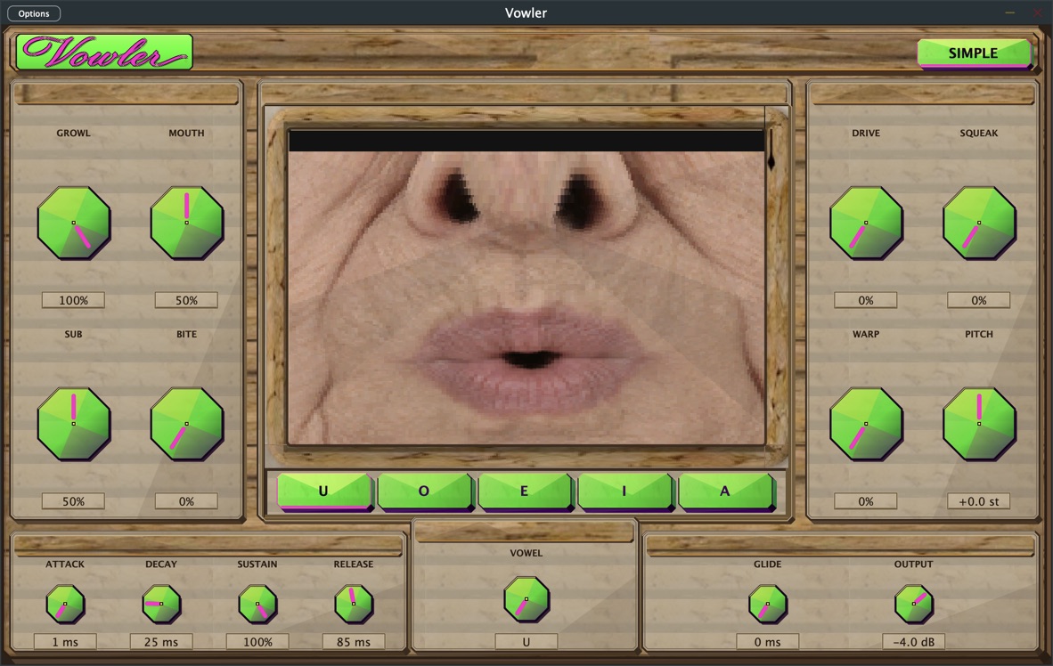 Vowler interface showing the vowel face and Advanced sound controls.
